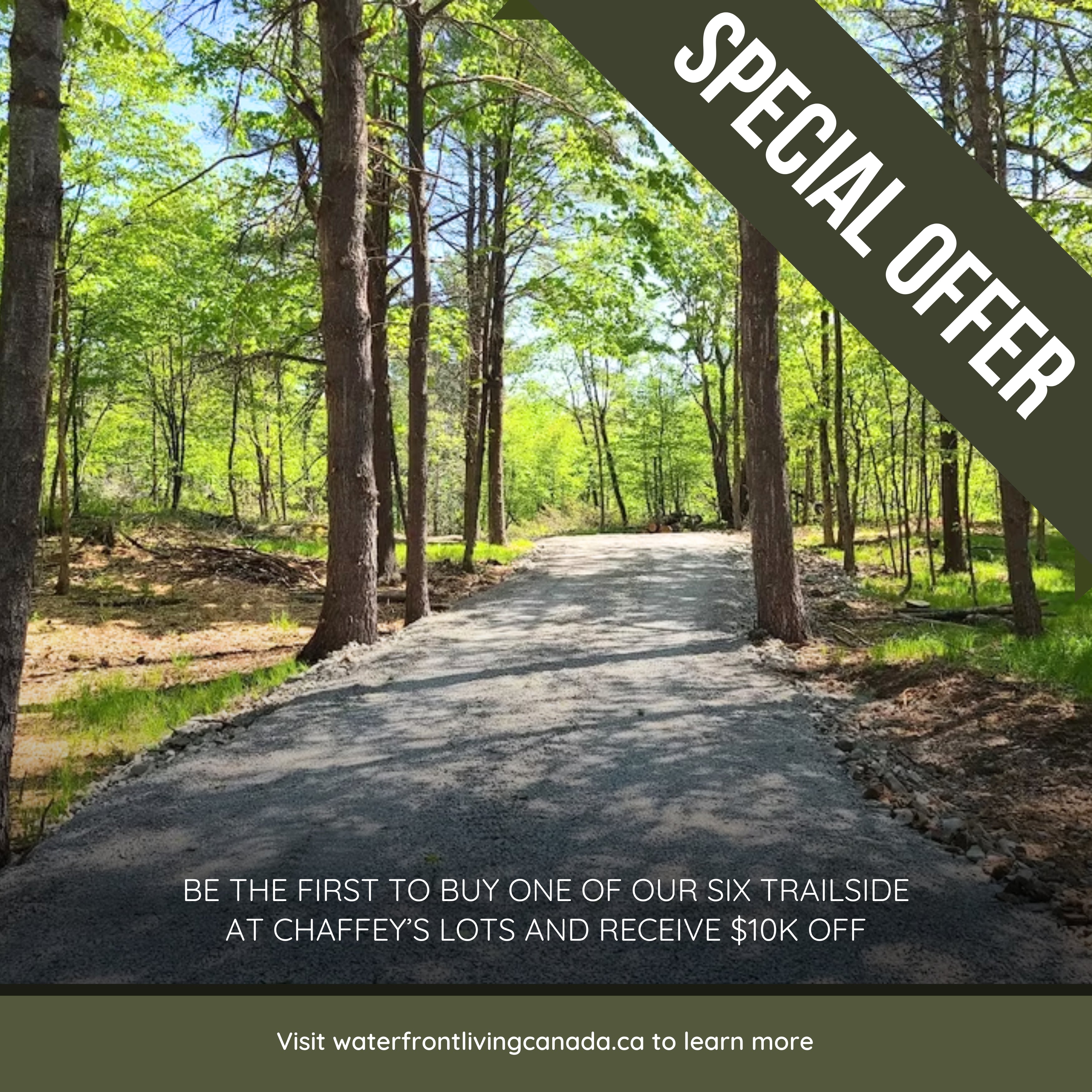 Social Media Content Creation