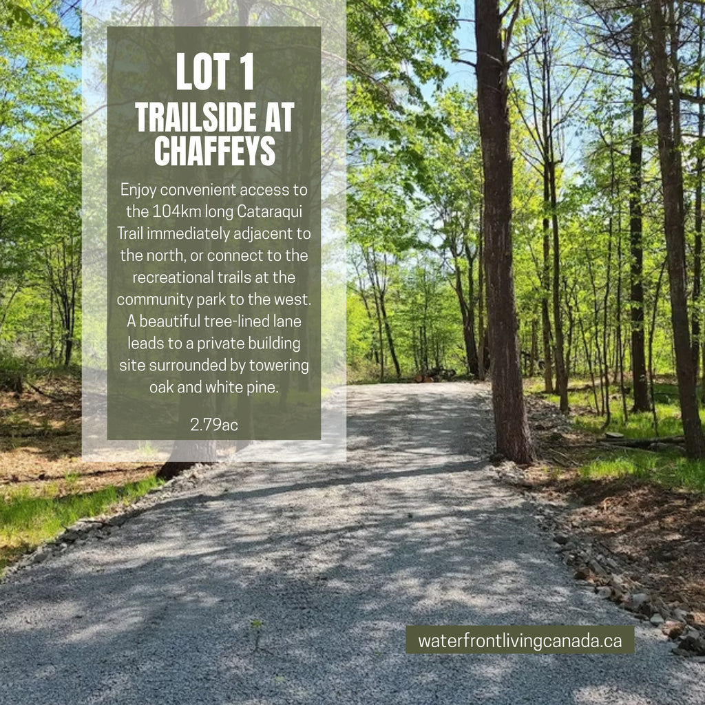 Social Media Content Creation